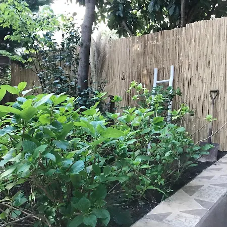 Local Artist's 2 Bedroom Flat W/ Backyard Garden Apartament