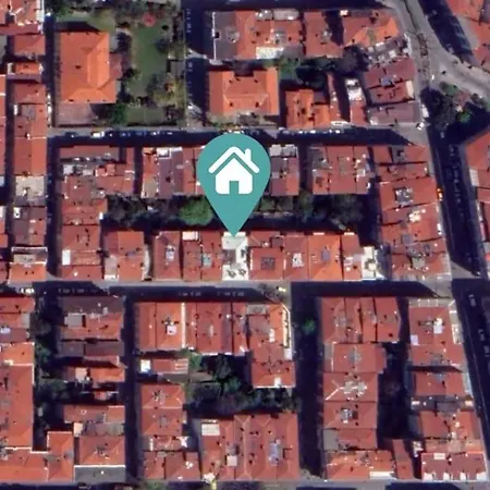 Local Artist's 2 Bedroom Flat W/ Backyard Garden * Estambul